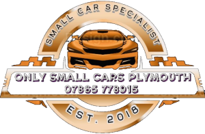 Only Small Cars Plymouth